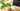 STEVIA – The reasons why I don’t use it…