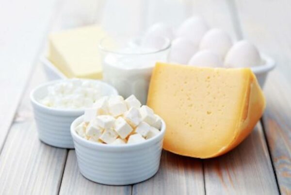 Why you should choose organic dairy product